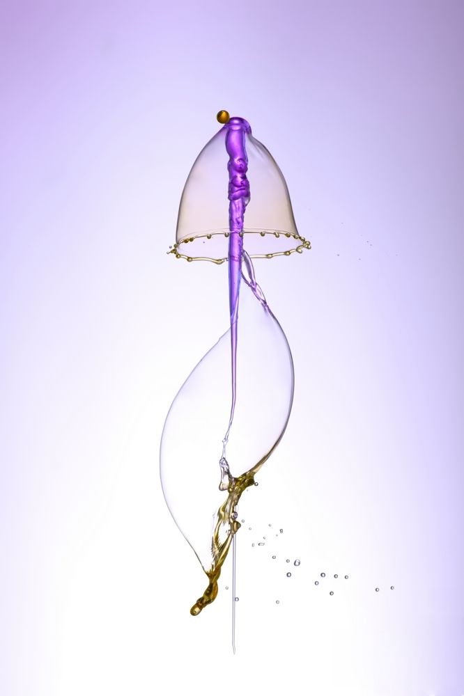 Фотография автора Илан Грабоис