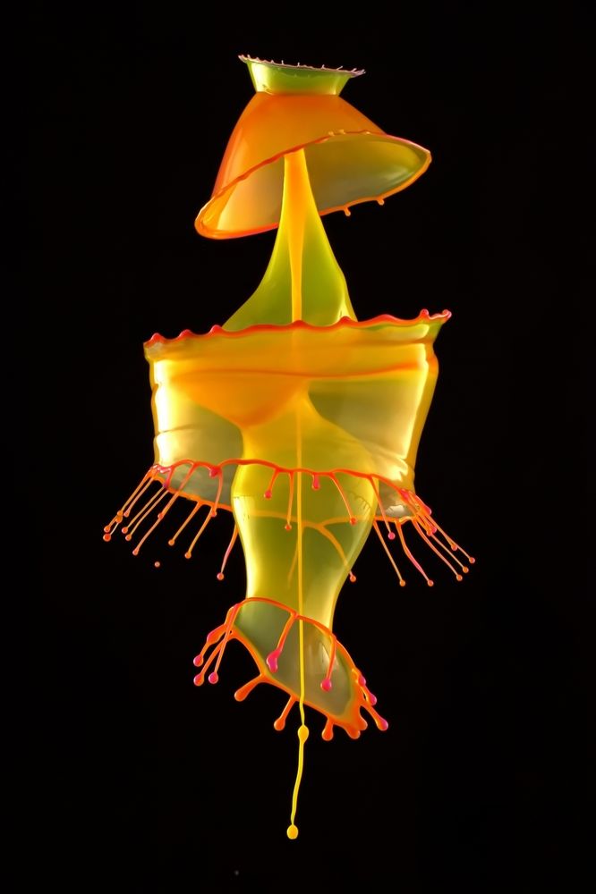 Фотография автора Илан Грабоис