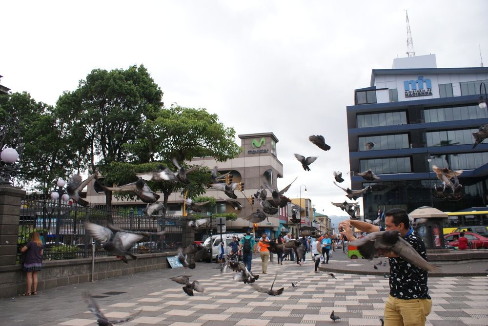 Photograph by Juan José Rodas