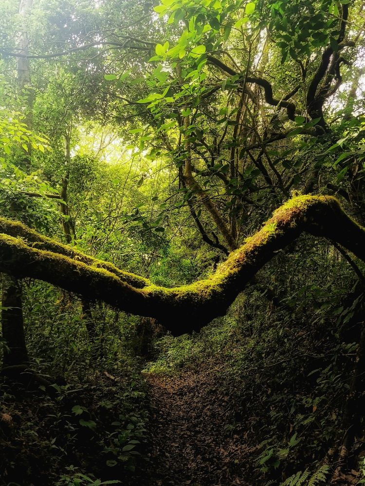 Photograph by Virginia Azocar