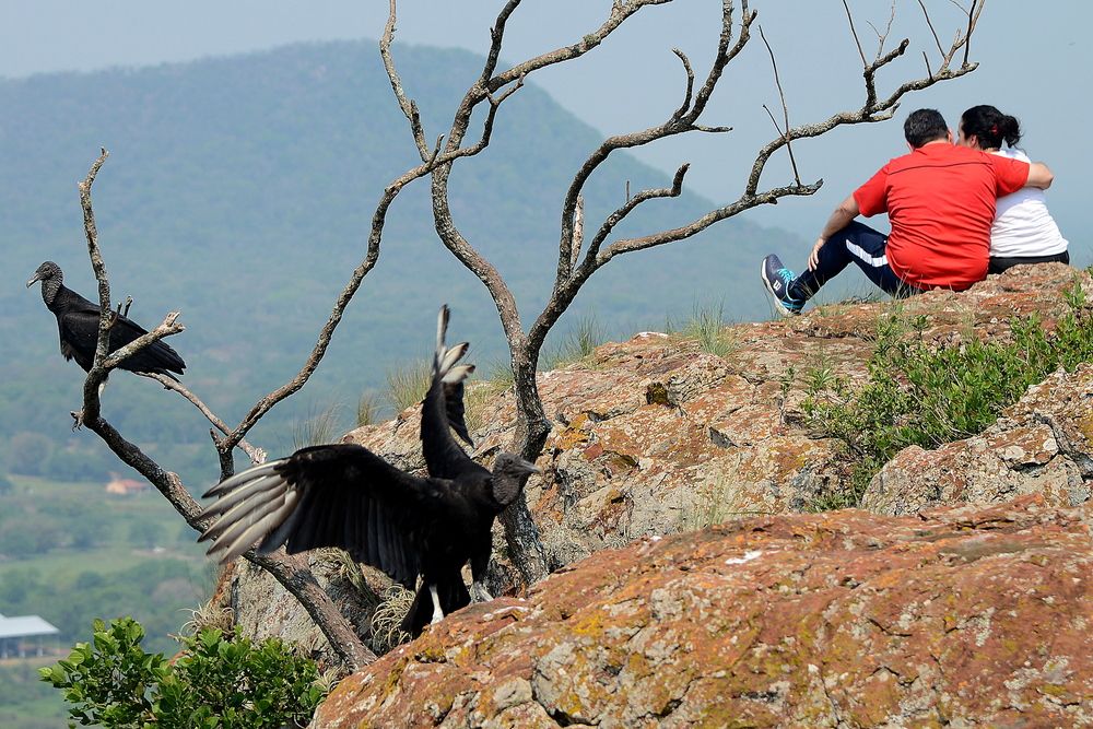 Photograph by Vitaliy