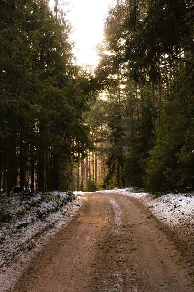 Photograph by Анна Кош