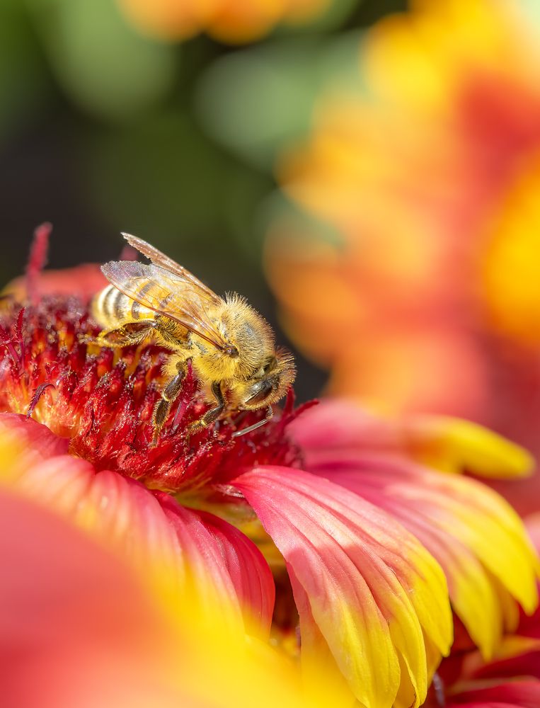 Photograph by Sana Khalid