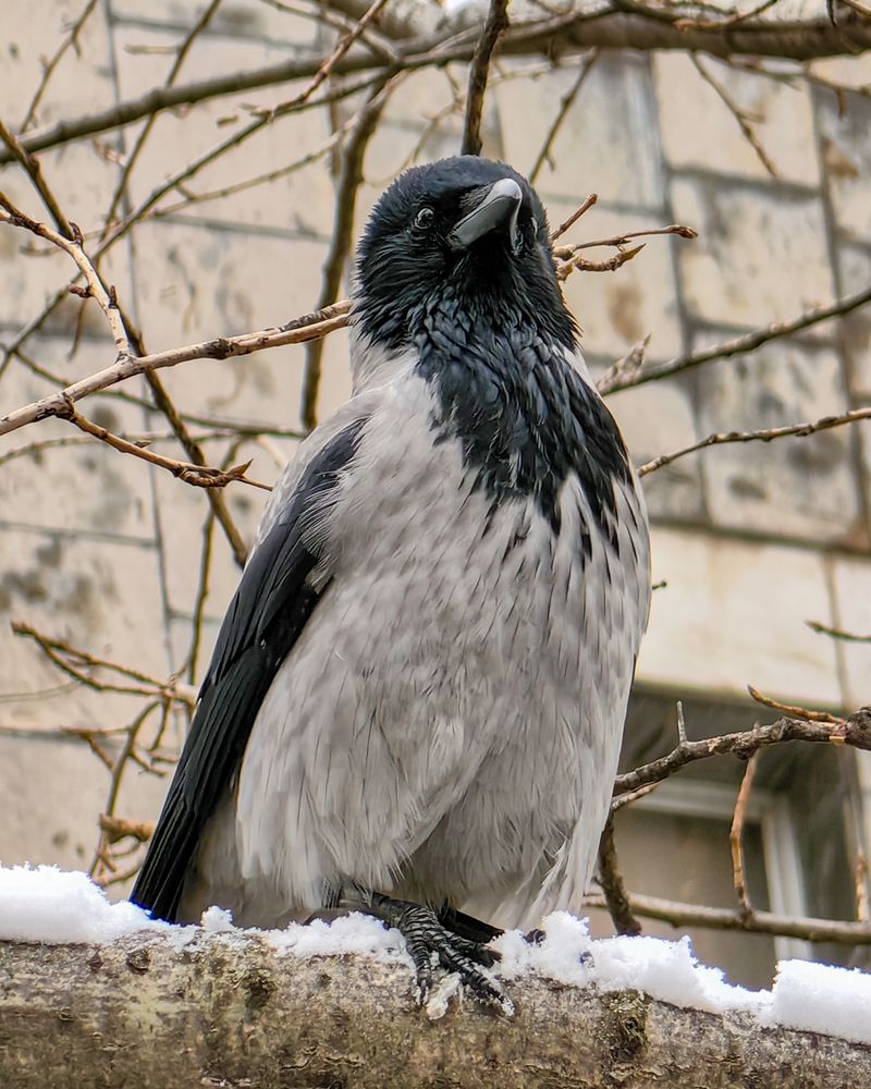 Photograph by Наталья Балабанова