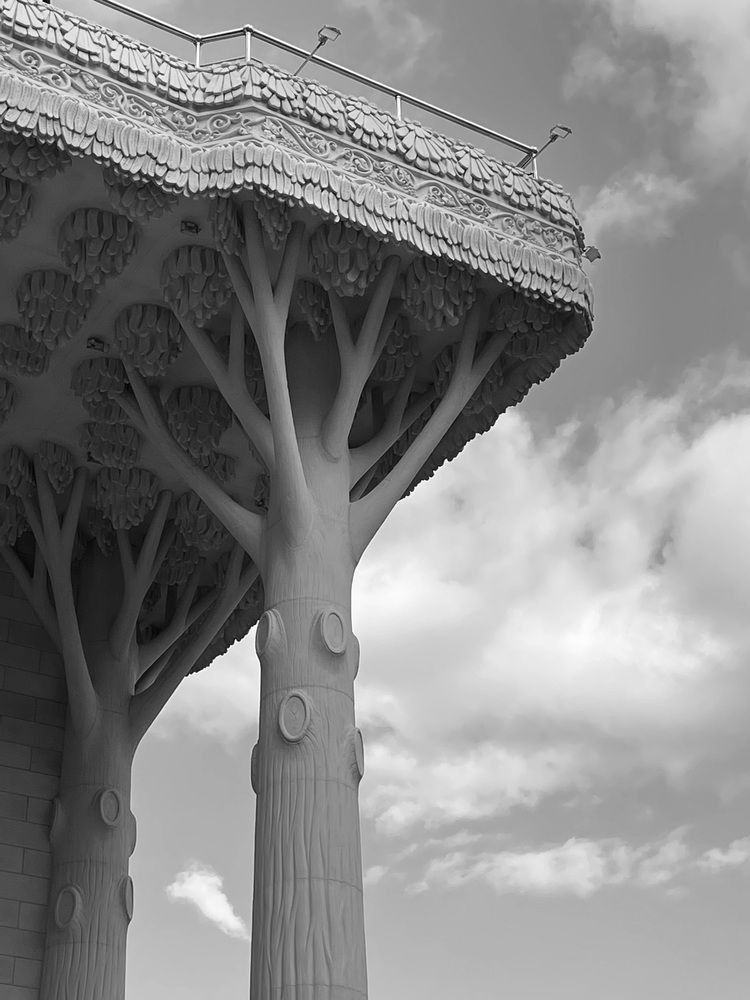 Photograph by Ксения