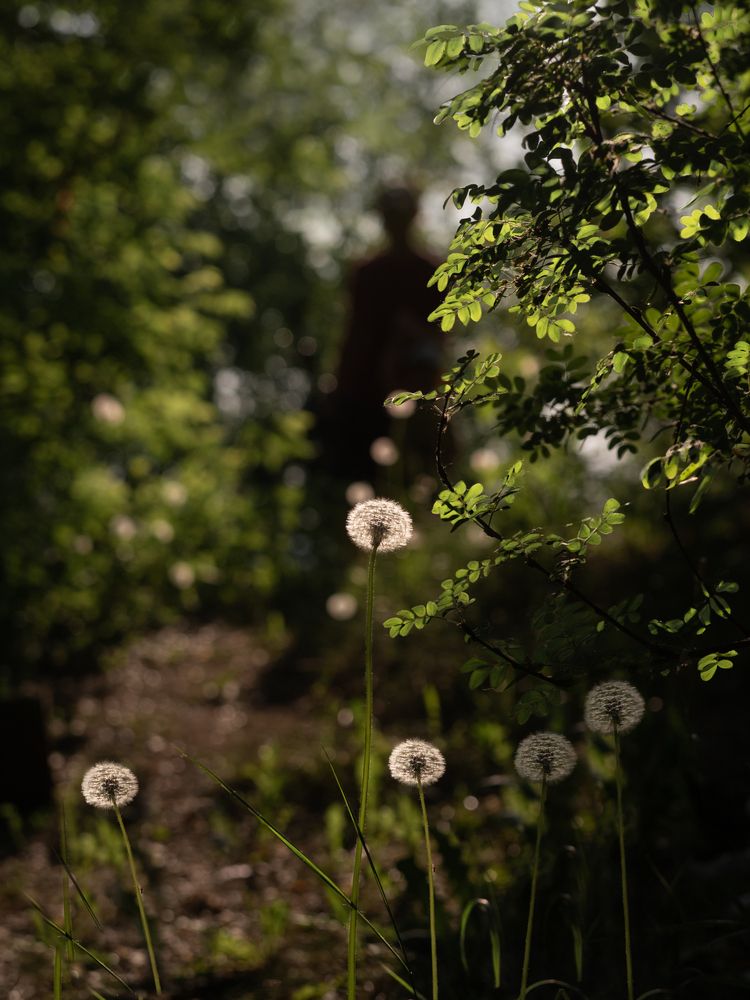 Photograph by Larisa Usova