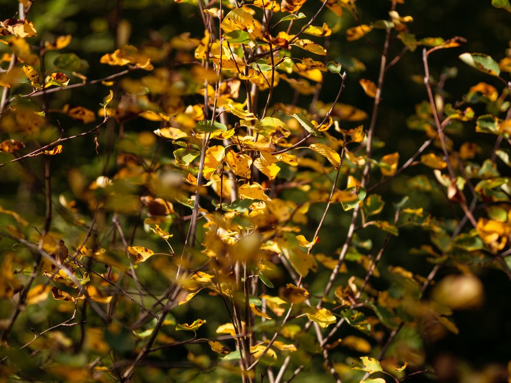 Photograph by Larisa Usova