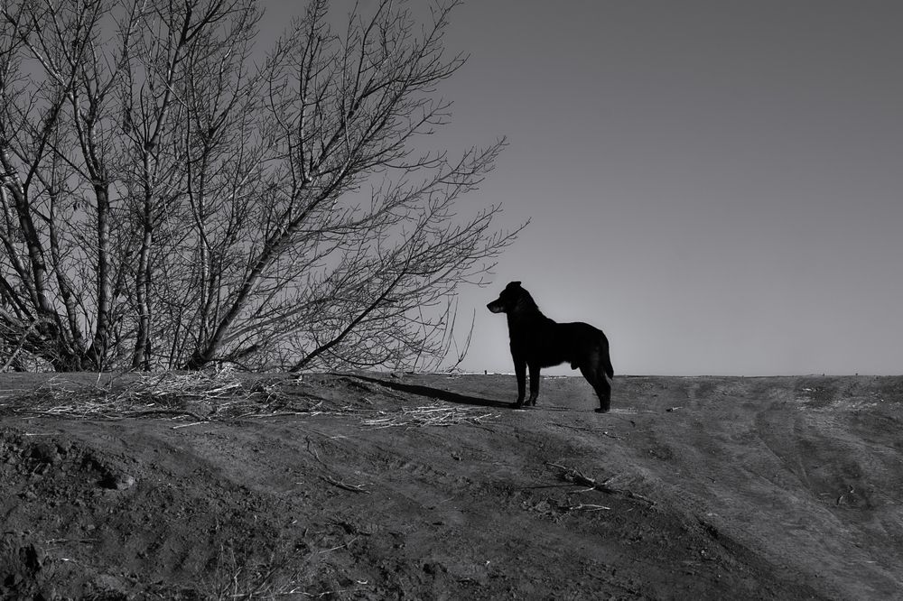 Photograph by Марина Дейкина