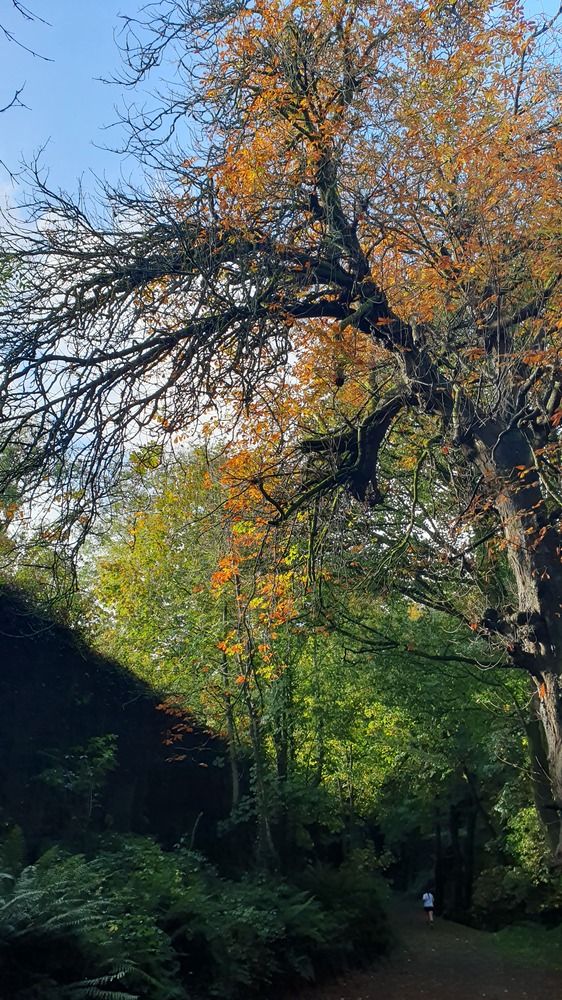 Photograph by Jasmina Zafer