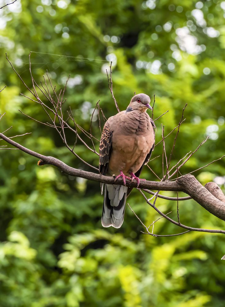 Photograph by Sana Khalid