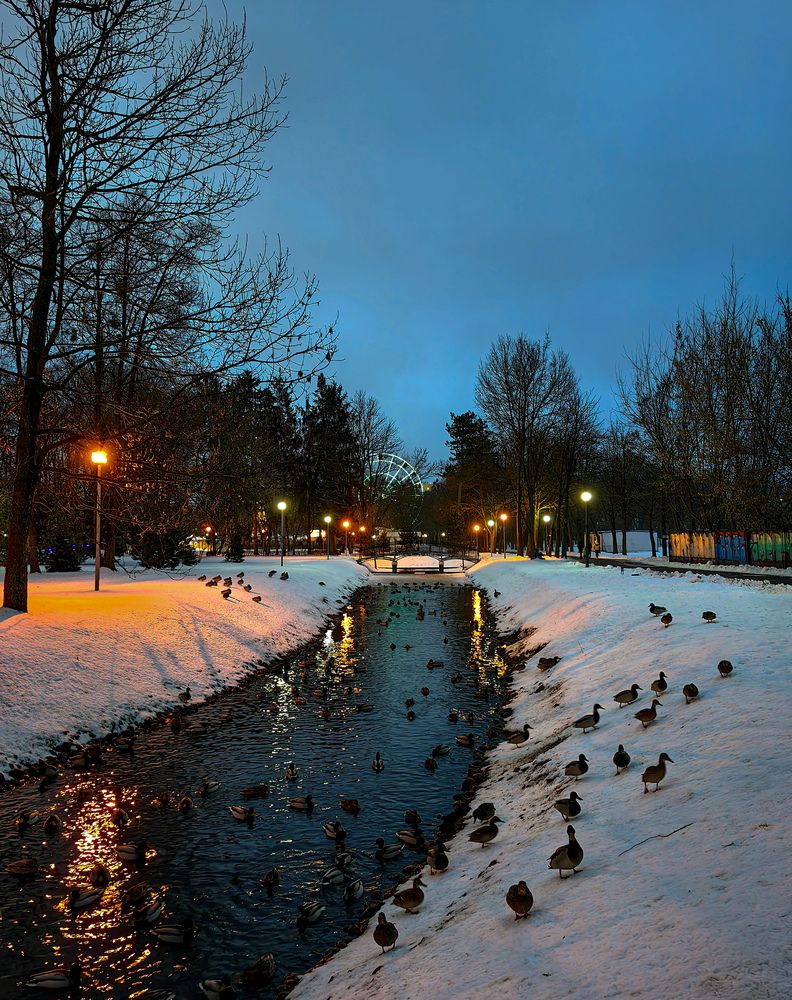 Фотография автора Ольга Панасюк