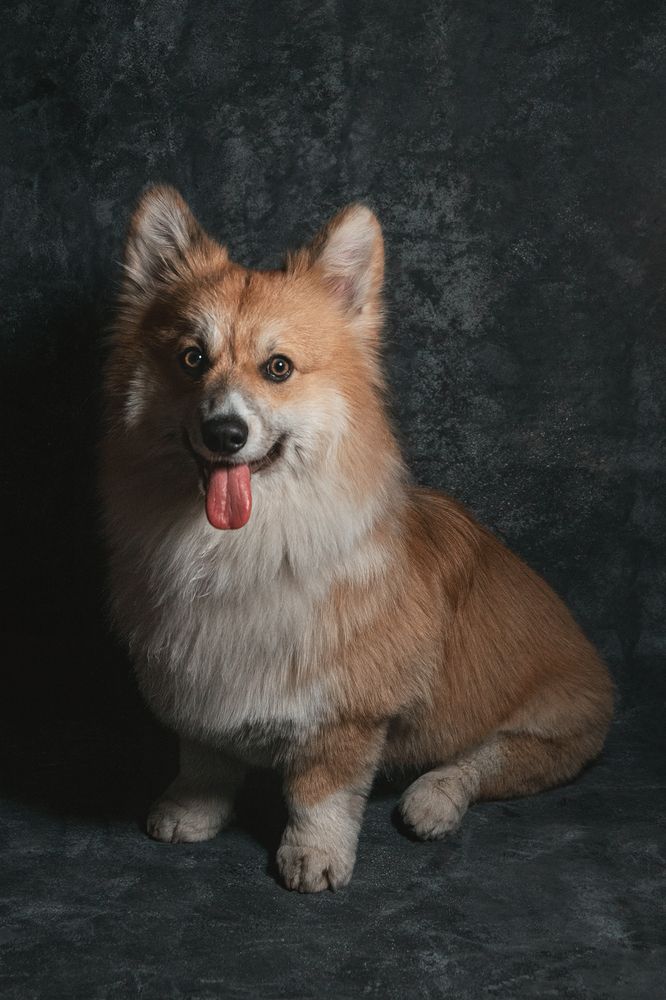 Photograph by Городничев Валерий