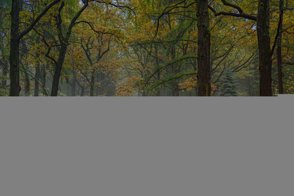 Фотография автора Sergey Smorchkov