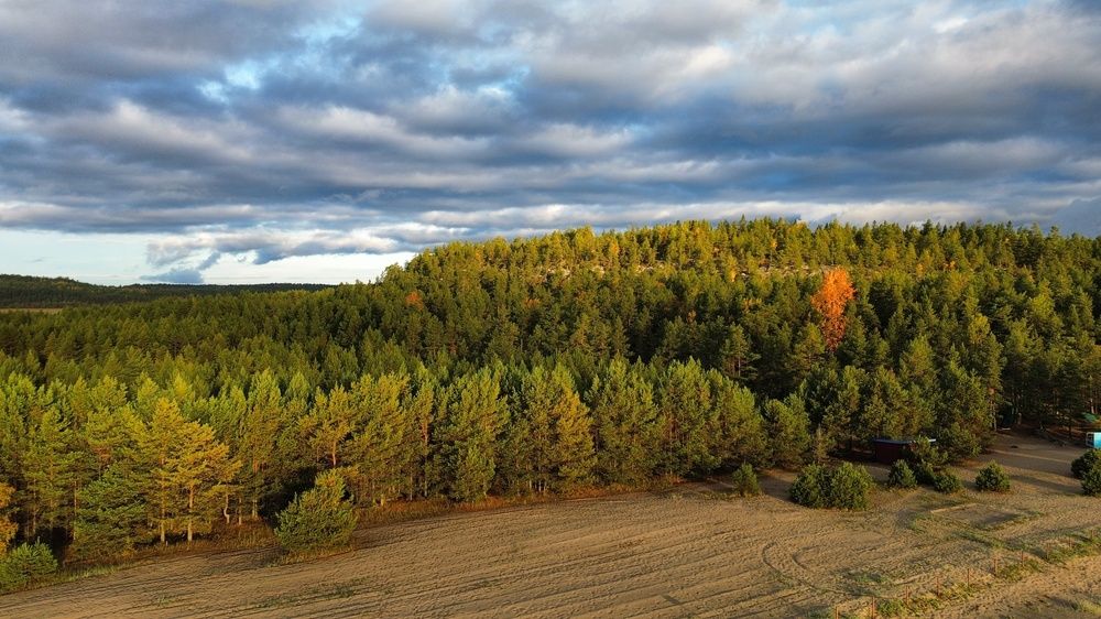 Фотография автора Sergey Smorchkov