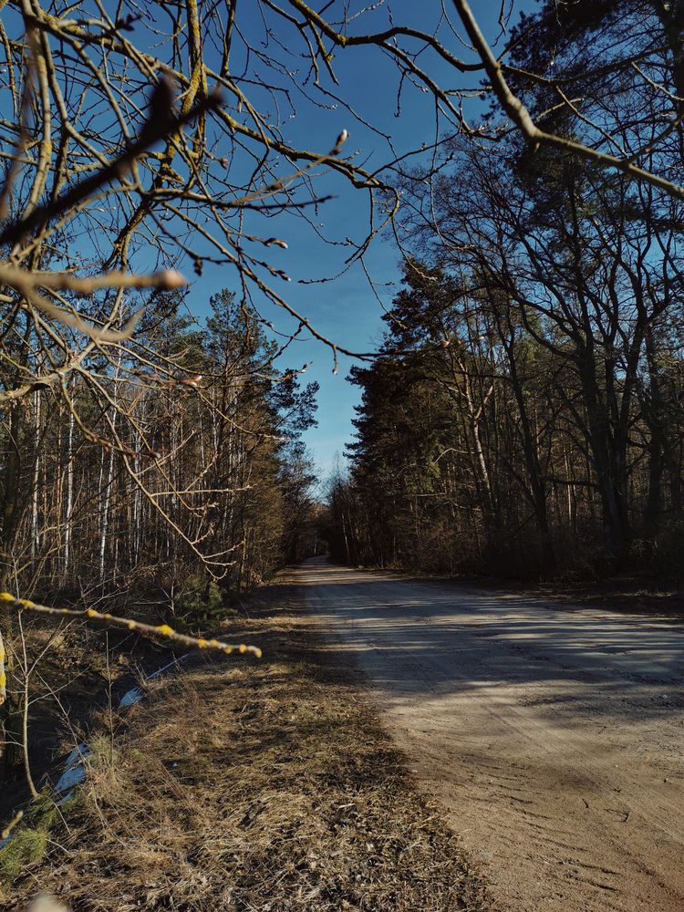 Фотография автора Ольга Панасюк