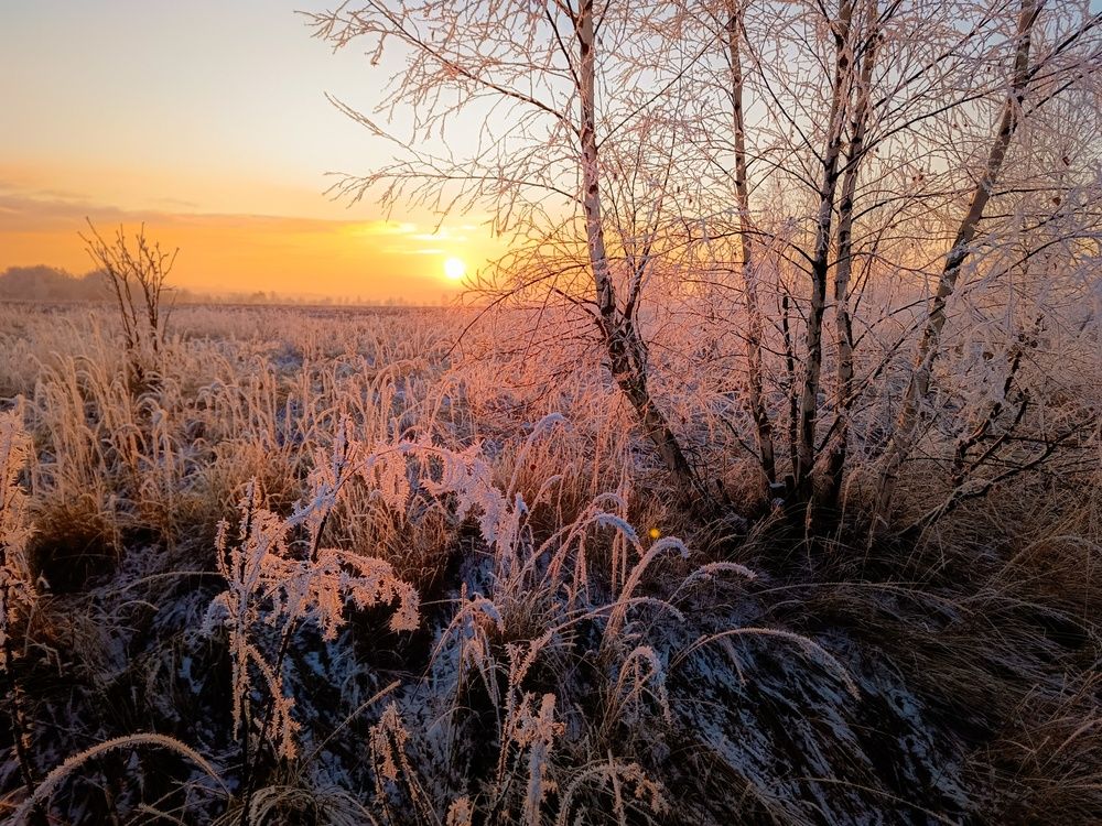 Photograph by Кондрашова Светлана
