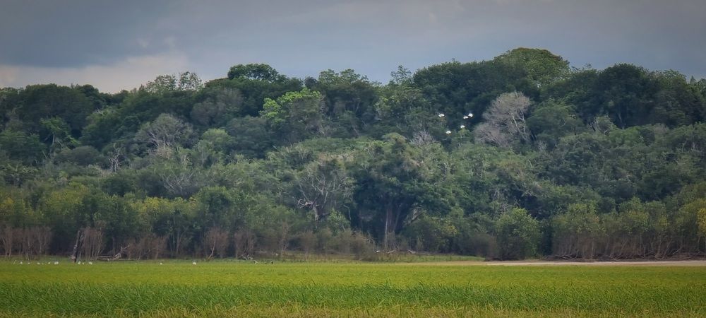 Photograph by Gr Marie