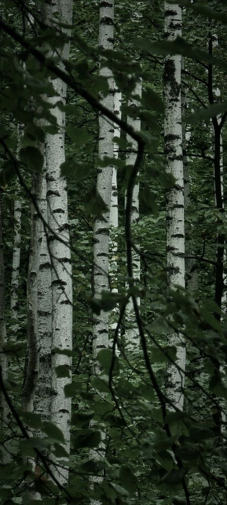 Photograph by Gr Marie