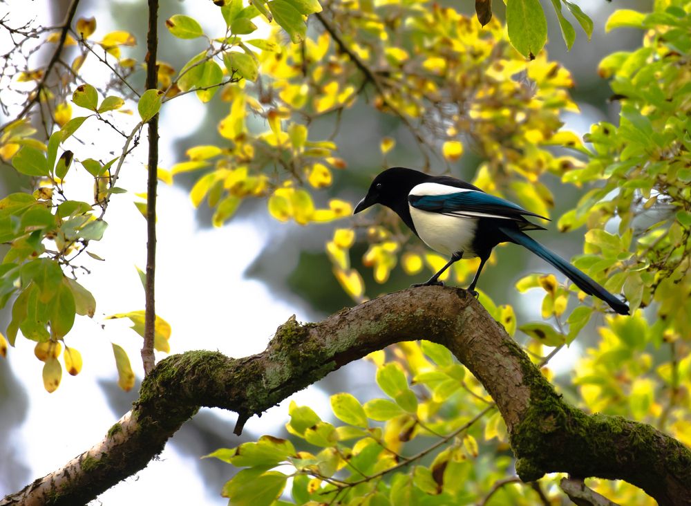 Photograph by Sana Khalid