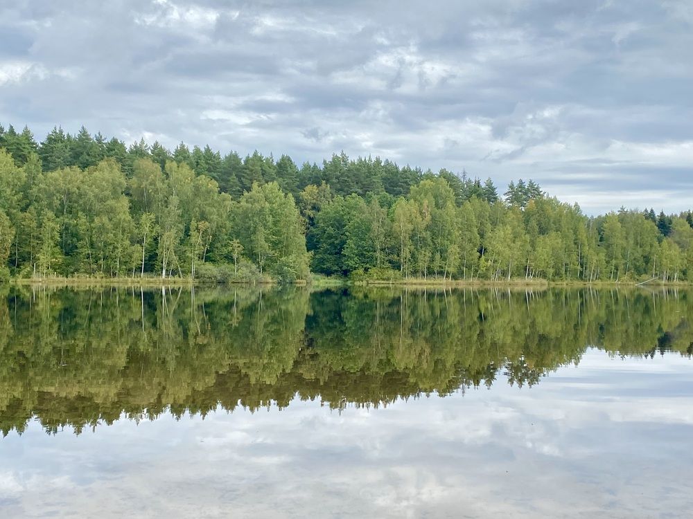 Фотография автора Наталья Вертугина
