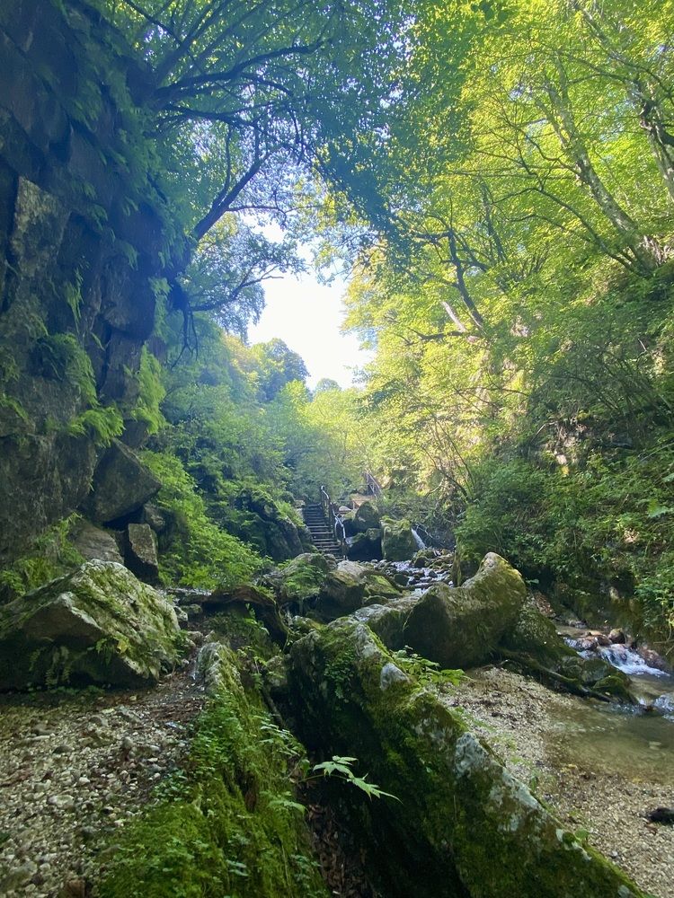 Фотография автора Наталья Вертугина