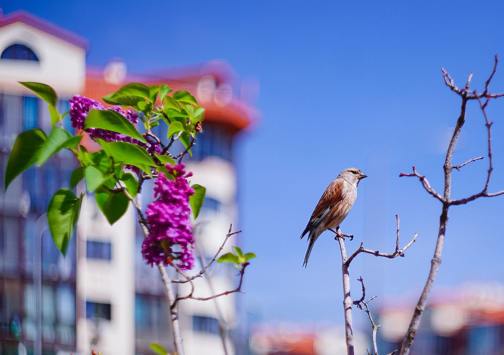 Photograph by Евгений Гонтов