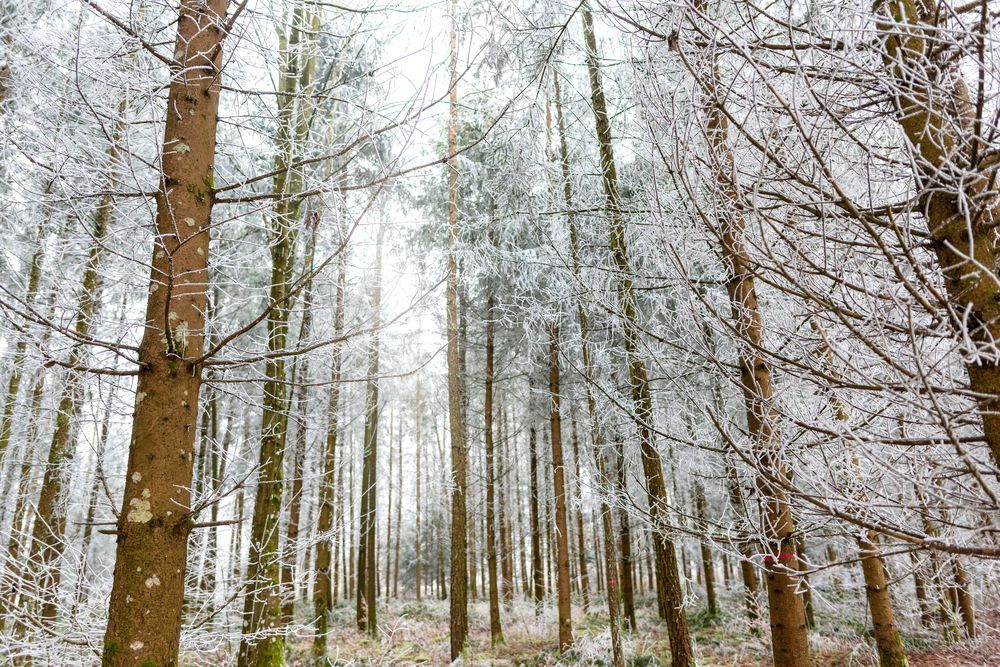 Photograph by Sana Khalid