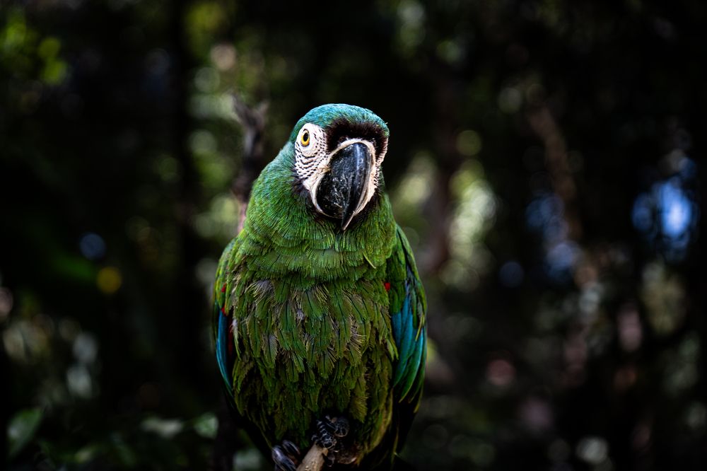 Photograph by JUAN M GUZMÁN