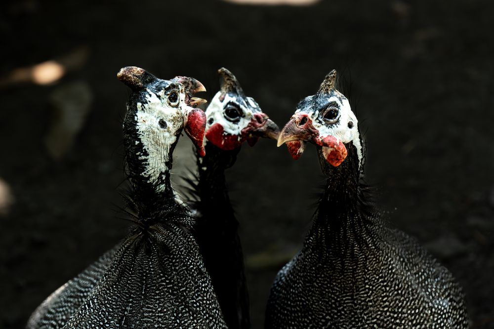 Photograph by JUAN M GUZMÁN