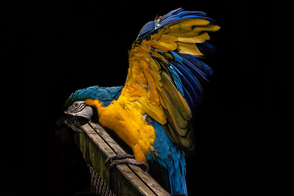 Photograph by JUAN M GUZMÁN