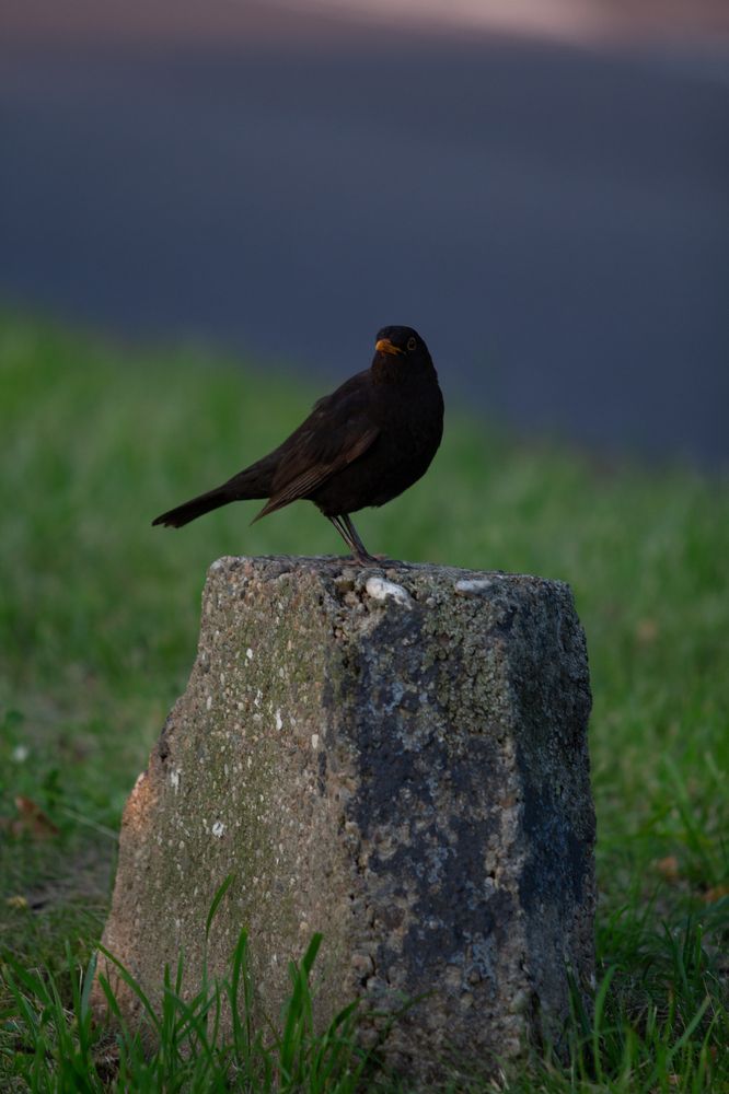 Photograph by Шарпе Станислав
