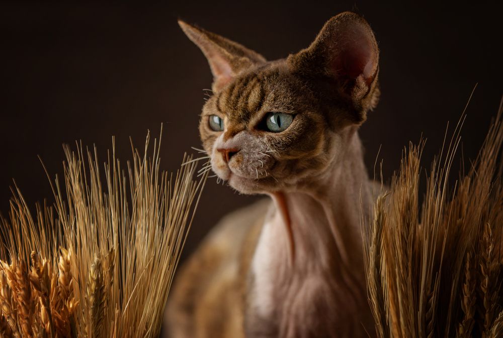 Photograph by Зубкова Юлия