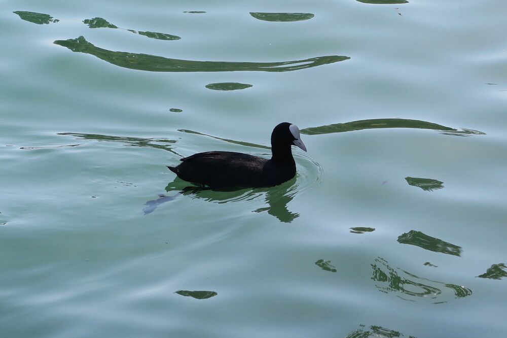 Photograph by Elena Nadeeva