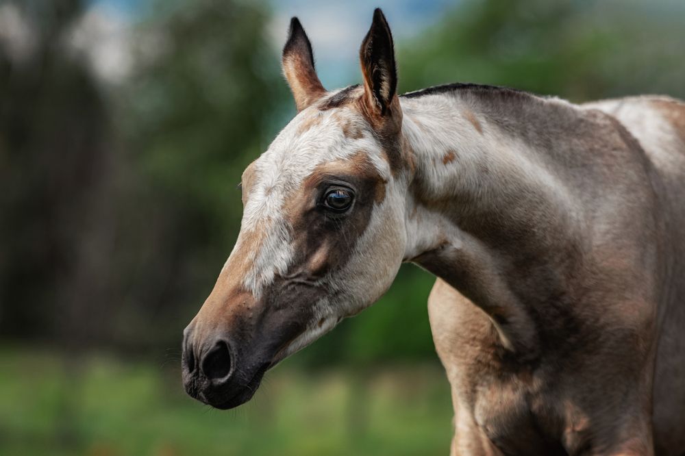 Photograph by Зубкова Юлия