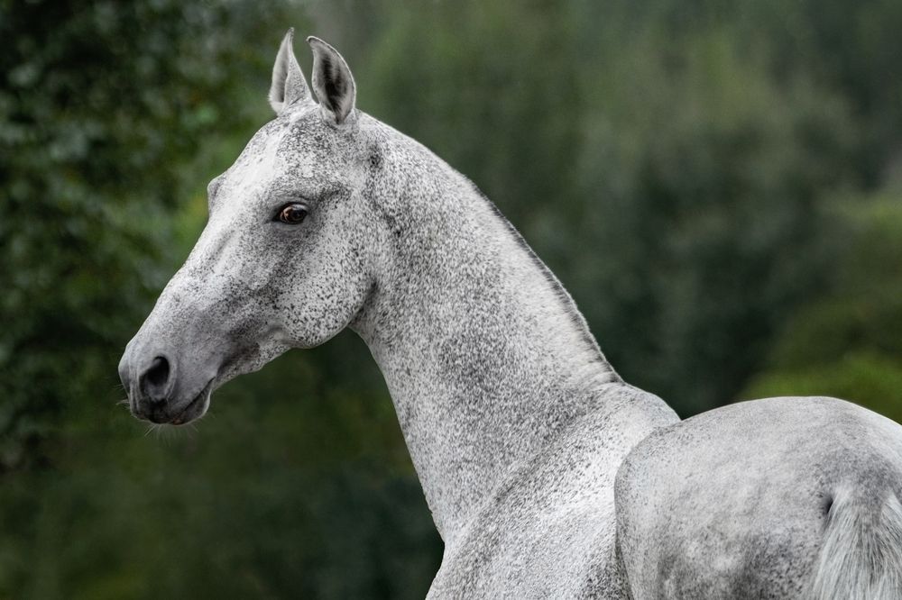 Photograph by Зубкова Юлия