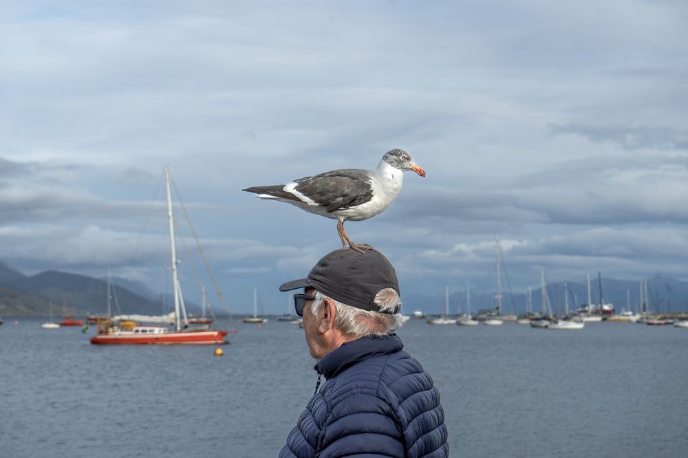 Фотография автора Edgardo Cardenas