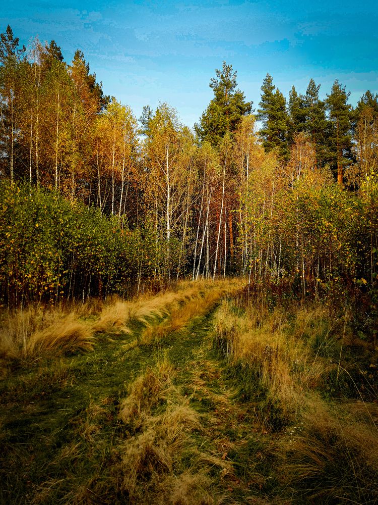 Photograph by Мария Пояскова