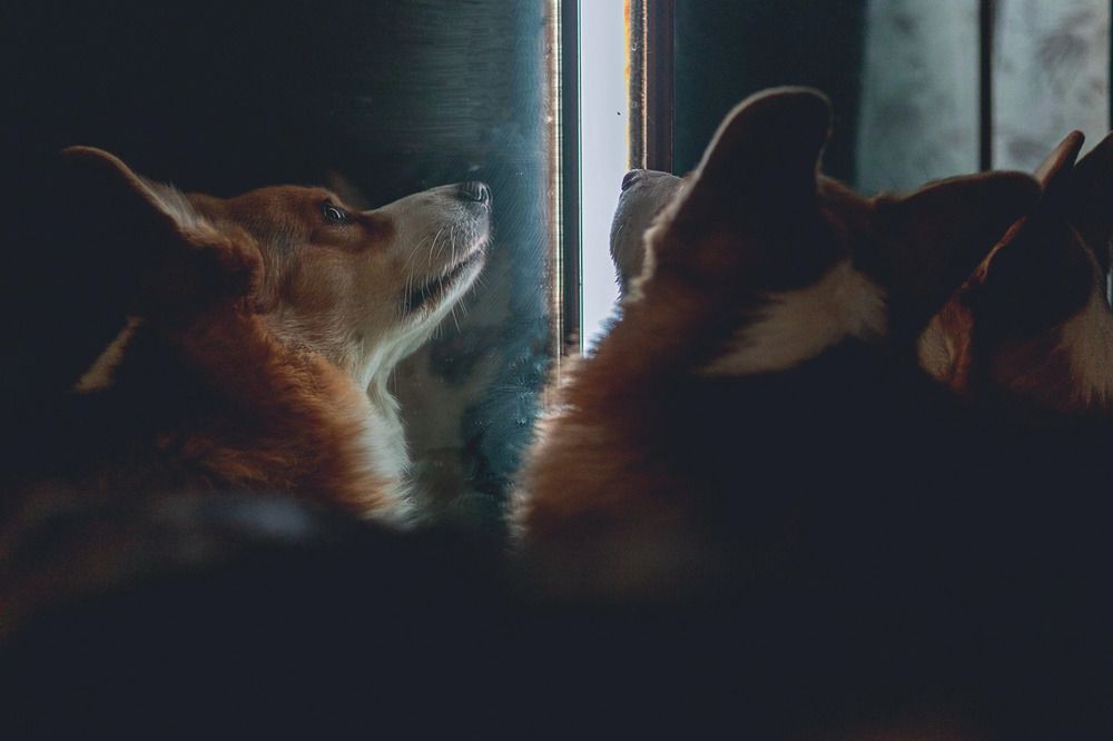 Фотография автора Елена Попова