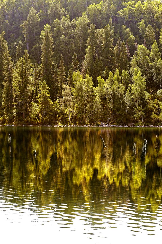 Photograph by Варвара Штерн