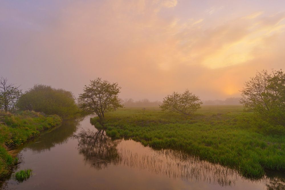 Майский закат