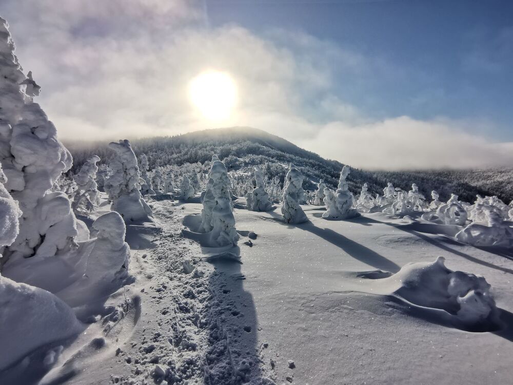 Photograph by Валерий Разов