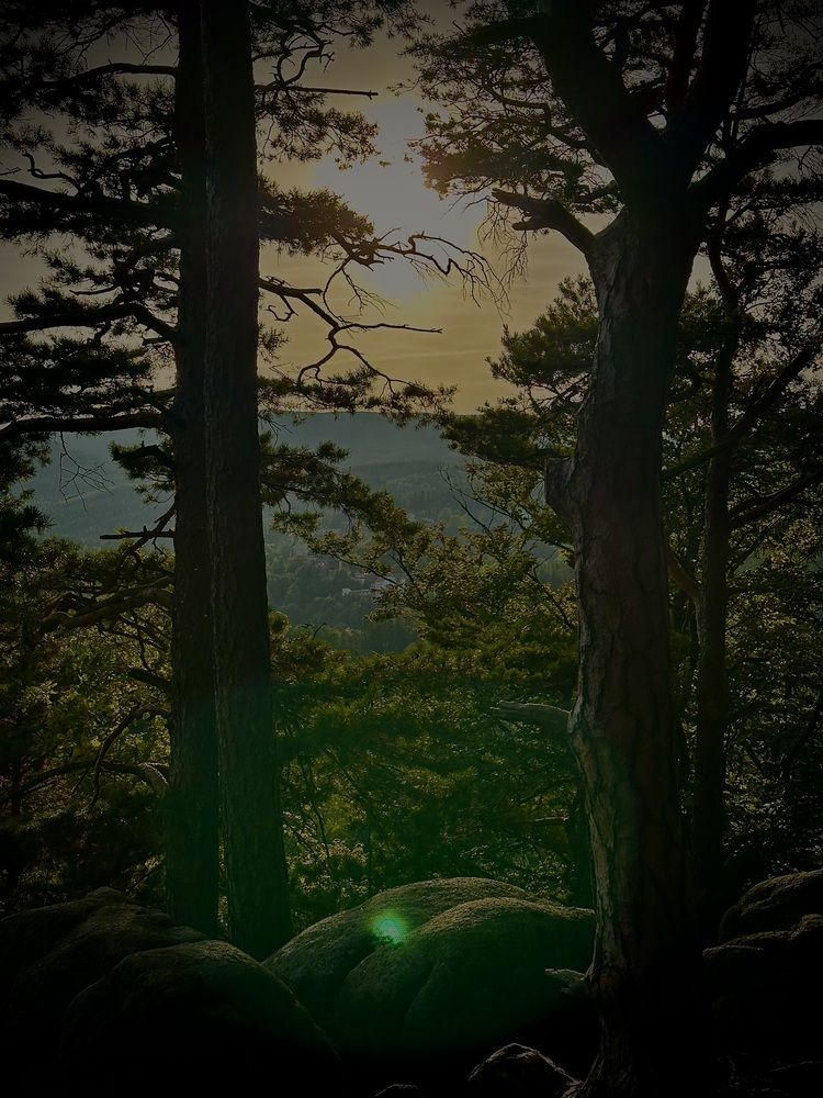 Photograph by Наумова Татьяна