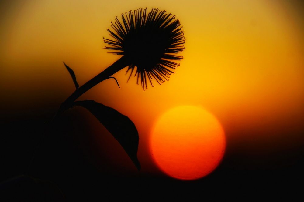 Photograph by Владимир