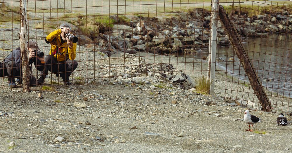 Photograph by Valeriy Hnatenko