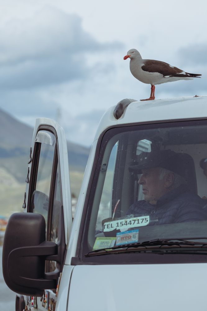 Photograph by Valeriy Hnatenko