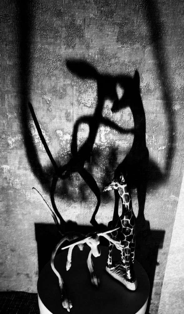 Photograph by Лариса Суворова