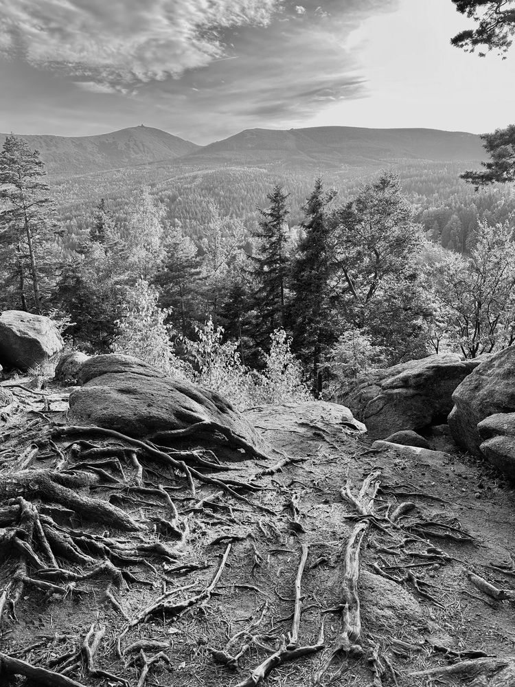 Photograph by Наумова Татьяна