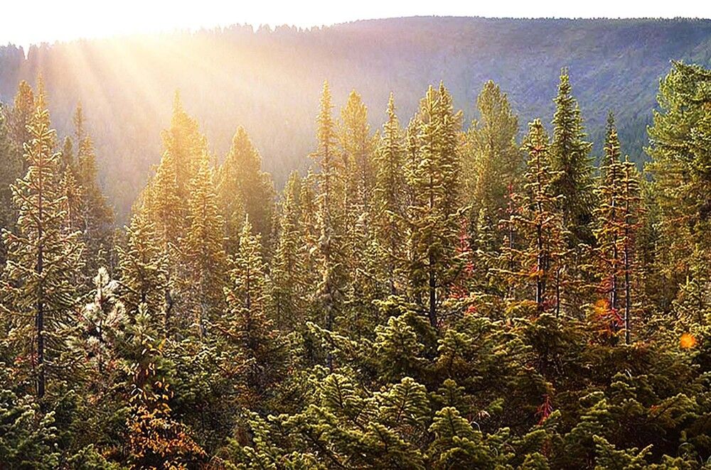 Photograph by Варвара Штерн