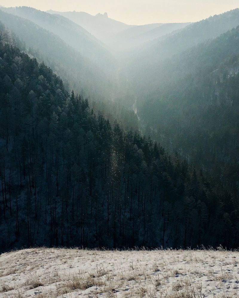 Фотография автора Наташа