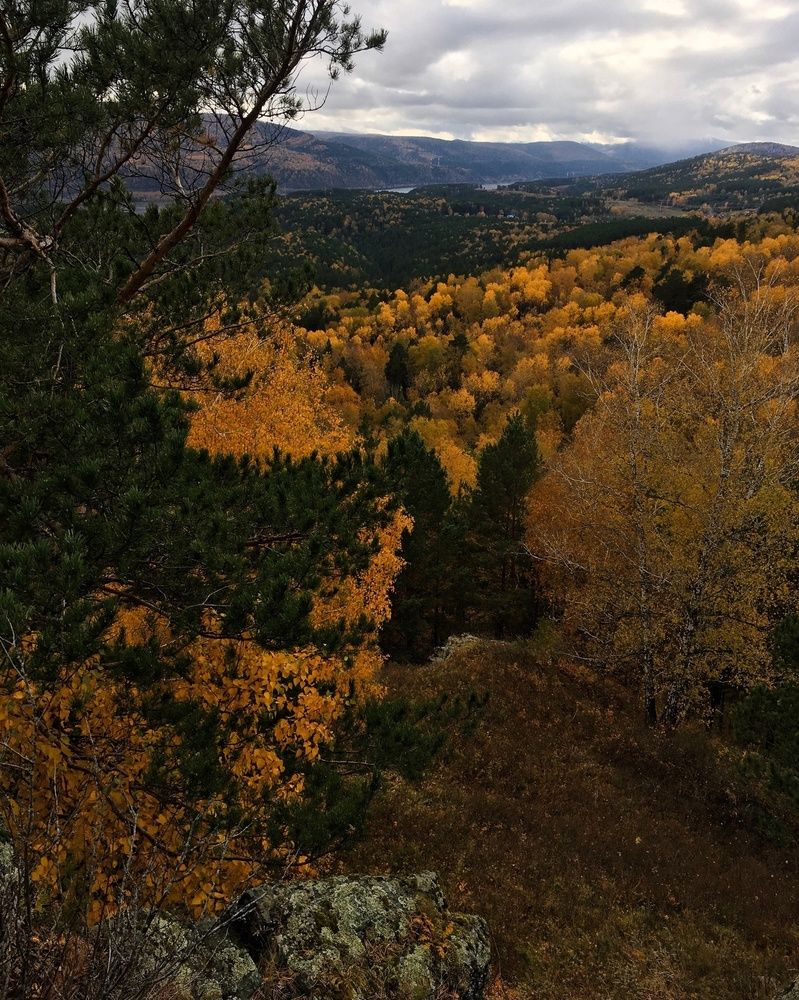 Фотография автора Наташа